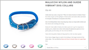 ideal customer product description